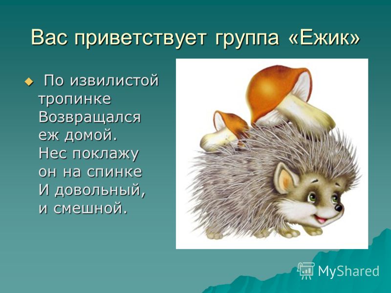 группа ежик