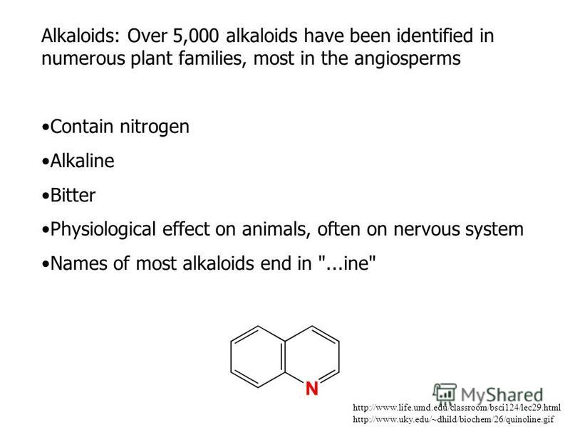 Molecular Biotechnology Bernard R Glick, Jack J Pasternak