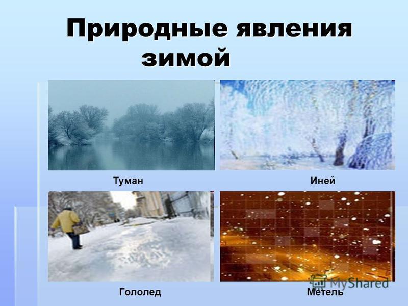 Природные явления зимой Природные явления зимой Туман Гололед Иней Метель