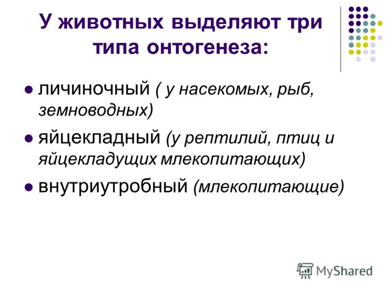 Рабочая программа моро 4 класс