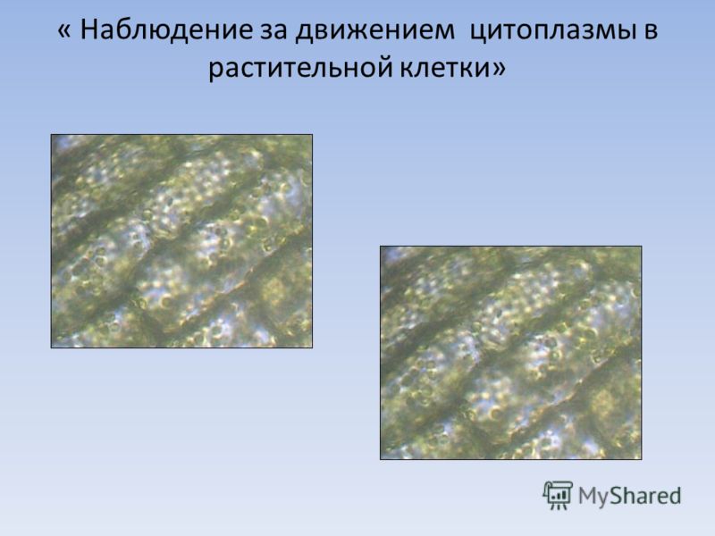 Рефлексия мастер класса Рефлексия мастер класса