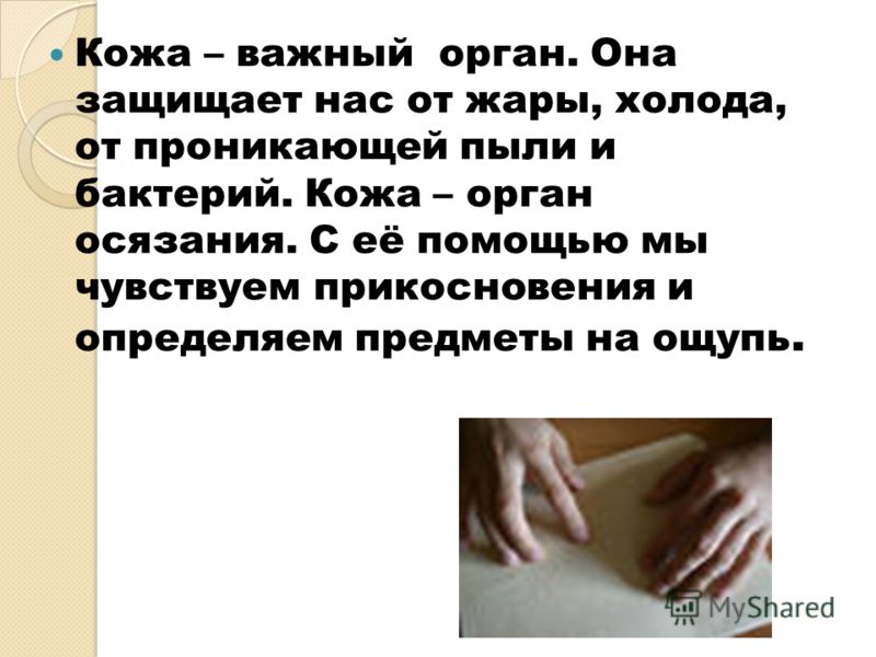 Как сделать общий вопрос к предложению Как сделать общий вопрос к предложению