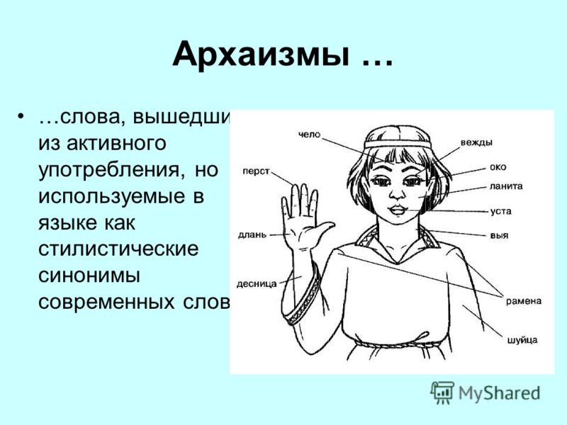 Историзмы и архаизмы в пословицах и поговорках Историзмы и архаизмы в пословицах и поговорках