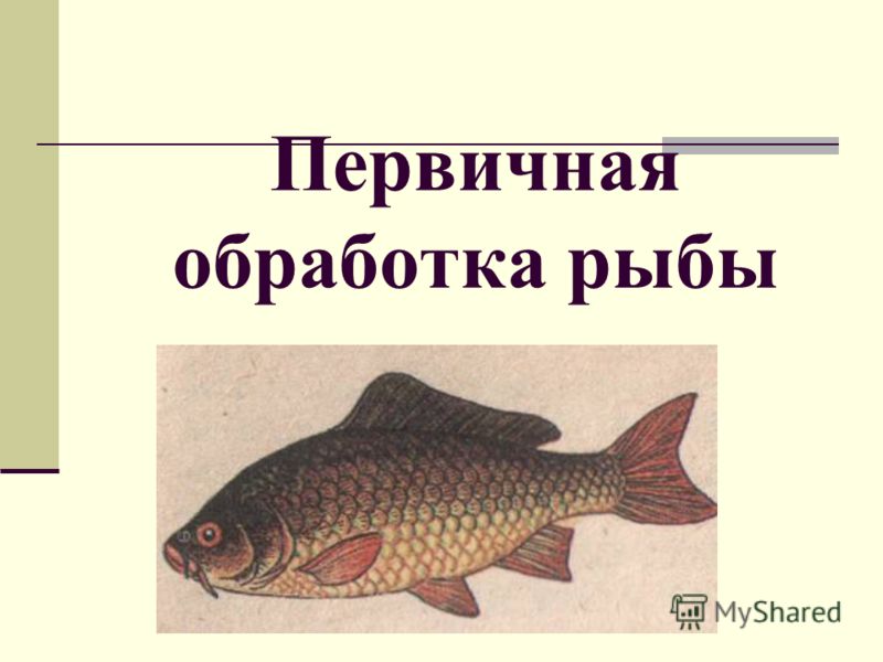 Как приготовить печень с легкими в мультиварке