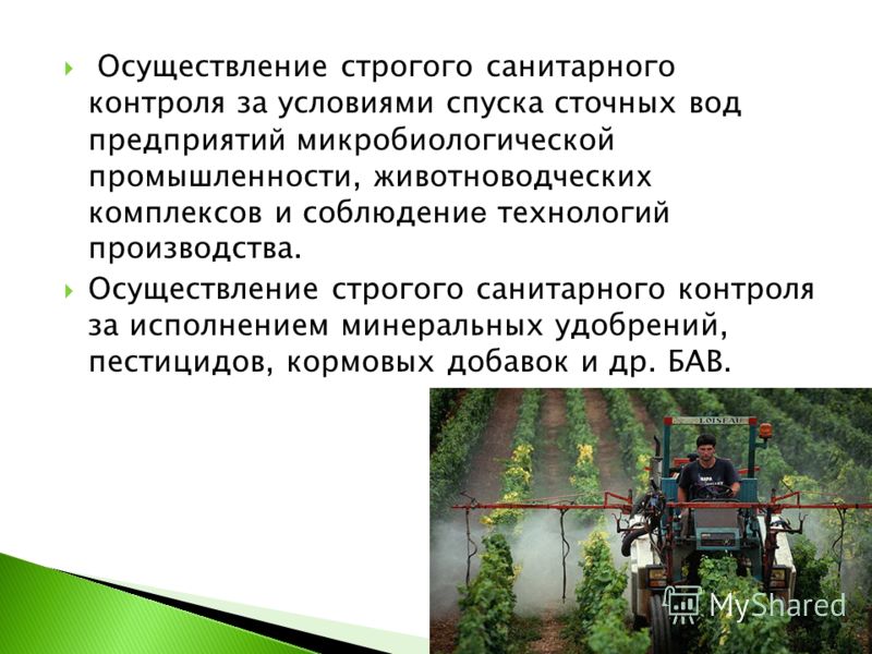 Локальная боль мышц живота
