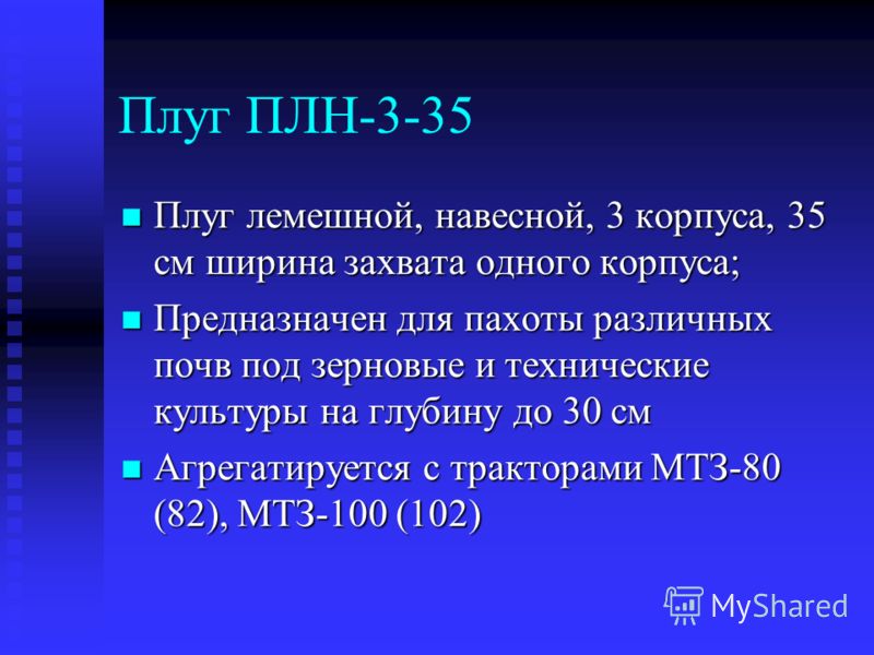 После каких культур садить чеснок После каких культур садить чеснок