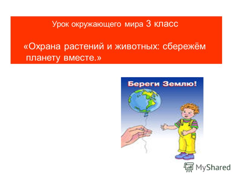 1 сентября сценарий праздника для первоклашек 1 сентября сценарий праздника для первоклашек