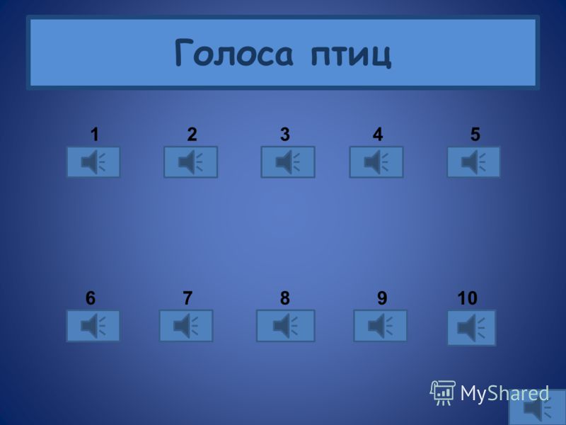 Голоса Птиц Грач Голоса Птиц Грач