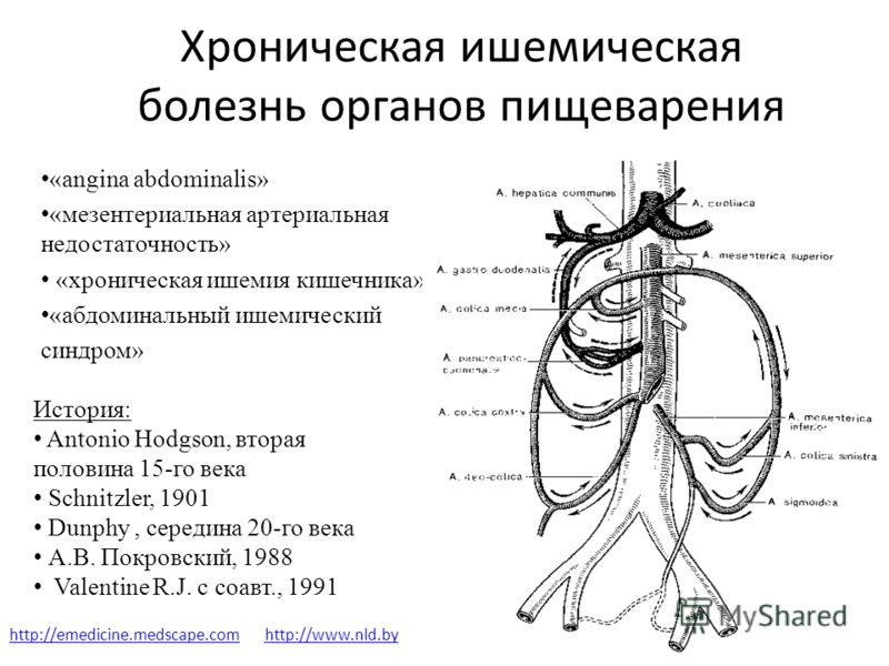 Болит живот в области солнечного сплетения Болит живот в области солнечного сплетения