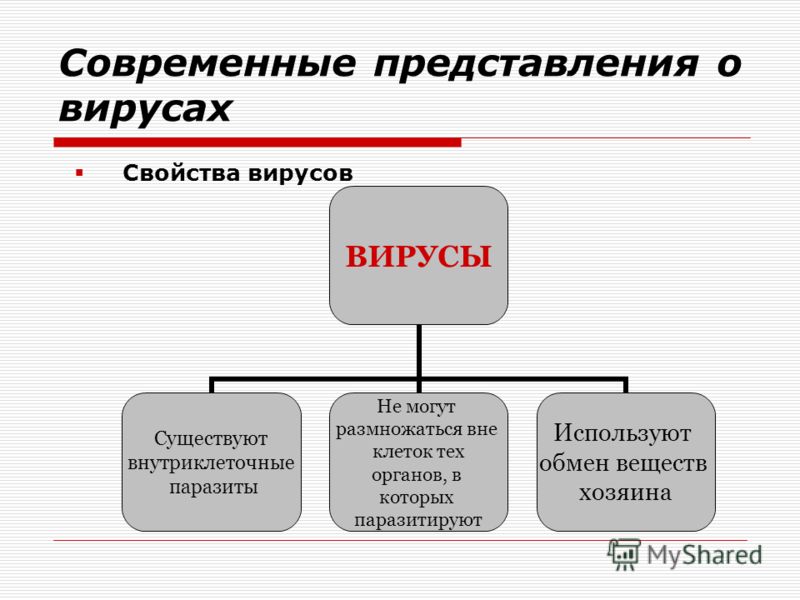 химиотерапия и паразиты лечение в волгограде химиотерапия и паразиты лечение в волгограде