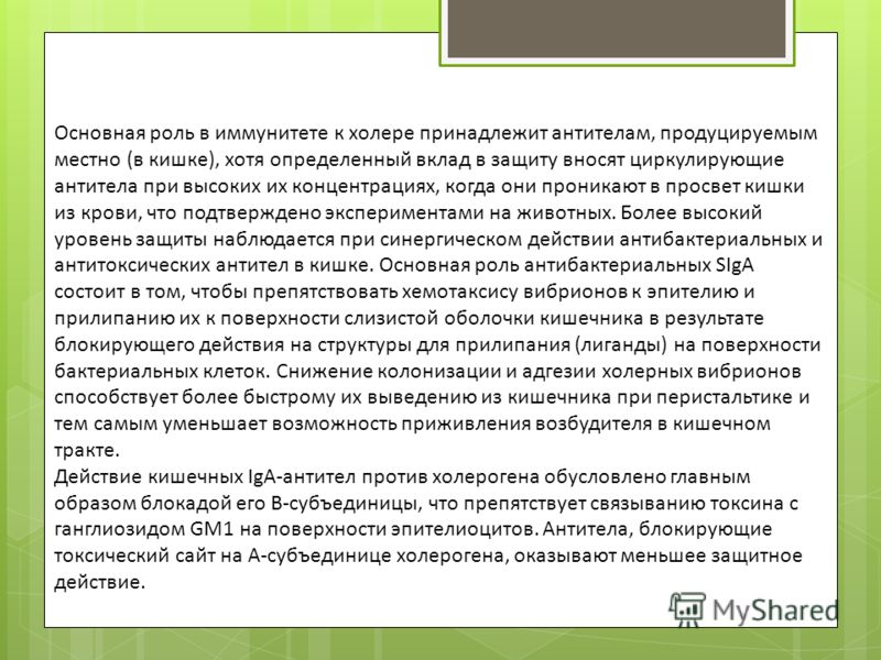 Основная роль в иммунитете к холере принадлежит антителам, продуцируемым местно (в кишке), хотя определенный вклад в защиту вносят циркулирующие антит