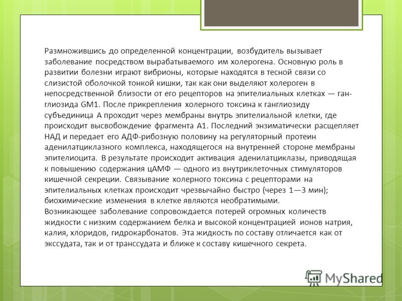 Размножившись до определенной концентрации, возбудитель вызывает заболевание посредством вырабатываемого им холерогена. Основную роль в развитии болез
