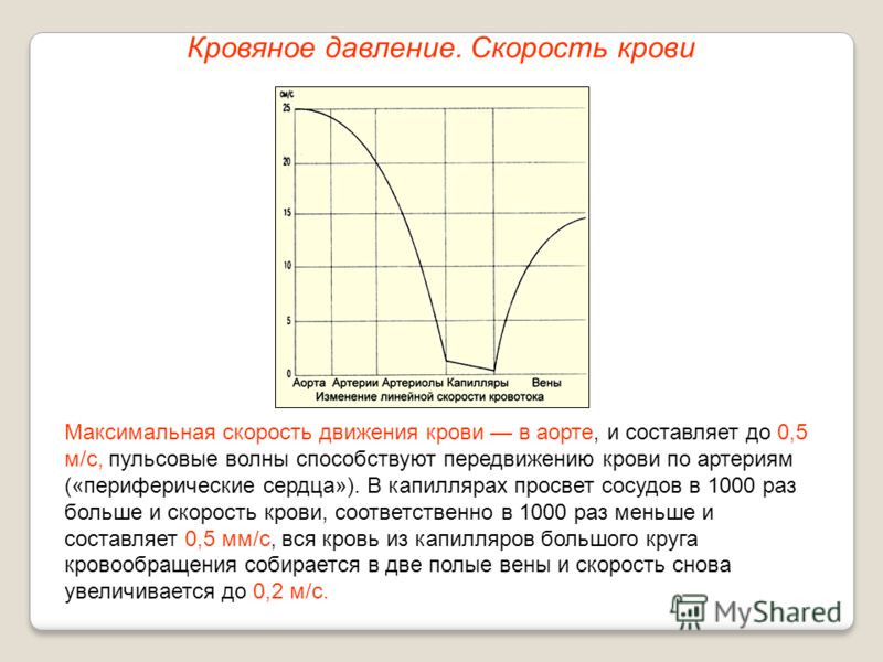Эффективные мази при варикозе