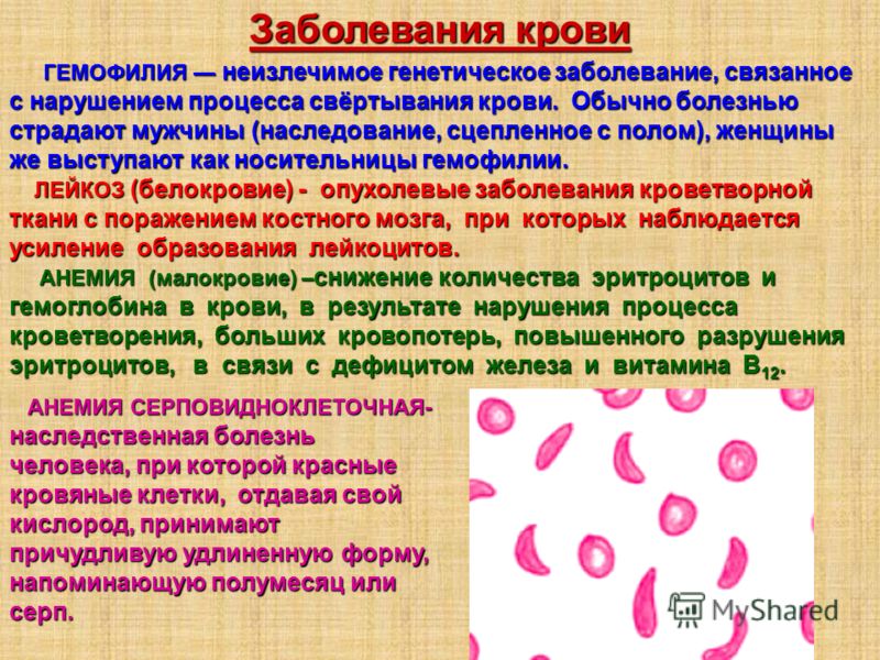 Стихи на заказ Заказать поздравление Стихи на заказ Заказать поздравление
