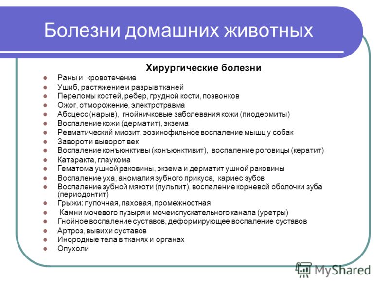 водка от паразитов водка от паразитов