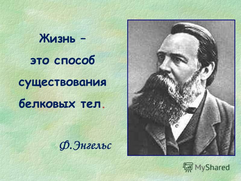 Биология 7 класс атамура