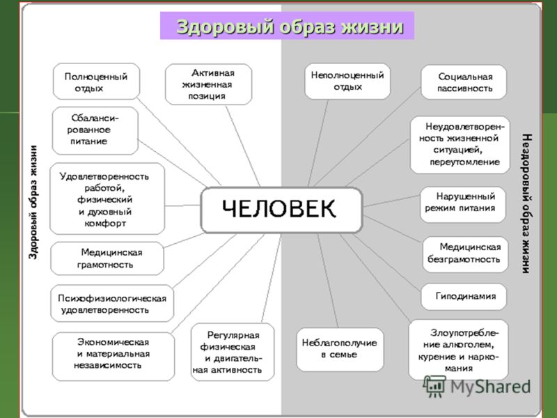 распорядок питания и тренировок для похудения распорядок питания и тренировок для похудения