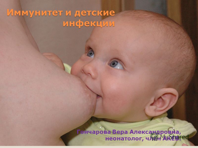 чеснок от паразитов метод чингисхана чеснок от паразитов метод чингисхана