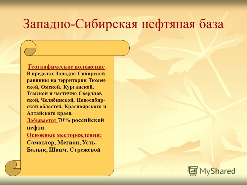 Литература 8 класс ладыгин