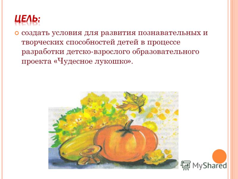 создать условия для развития познавательных и творческих способностей детей в процессе разработки детско-взрослого образовательного проекта «Чудесное 