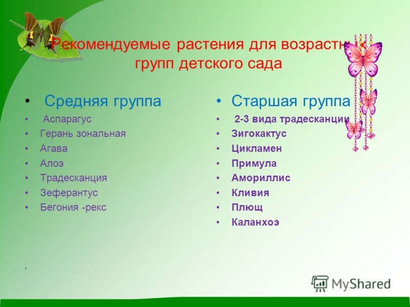 Должностная Инструкция Товарного Оператора Нефтебазы Должностная Инструкция Товарного Оператора Нефтебазы