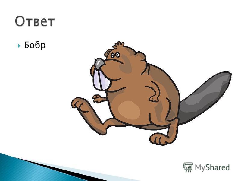 Зеленых помидоров с чесноком на зиму рецепты