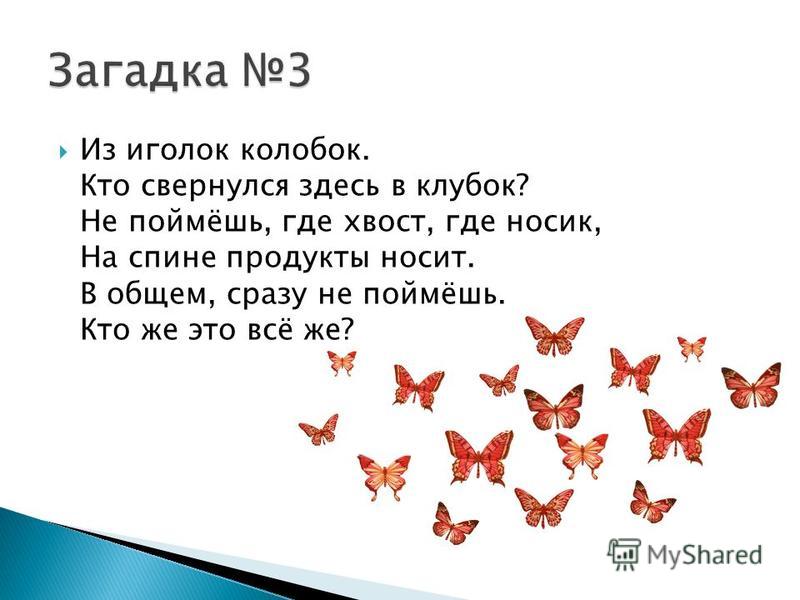 Заготовка на зиму кабачок майонез