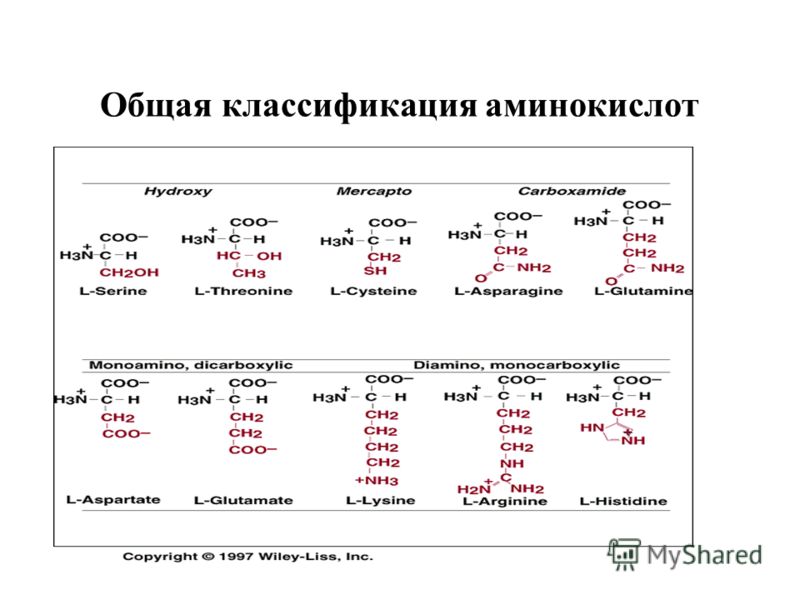 Земля ольга кобилянська читати i скорочено