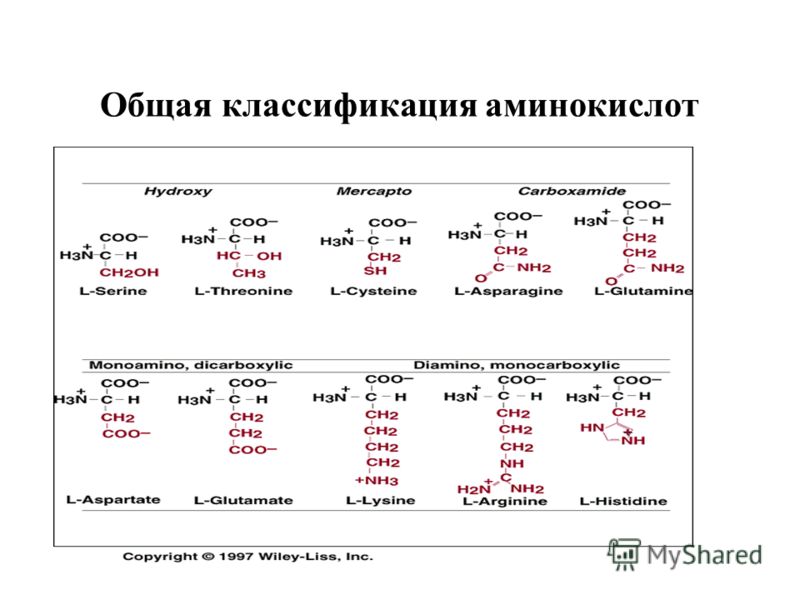 Биохимия Ленинджер Скачать Бесплатно