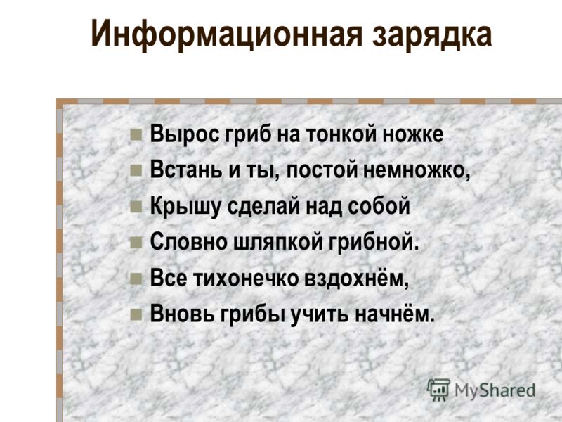 С чем связано уменьшение шляпочных грибов С чем связано уменьшение шляпочных грибов