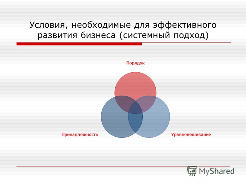 Условия, необходимые для эффективного развития бизнеса (системный подход) Порядок УравновешиваниеПринадлежность