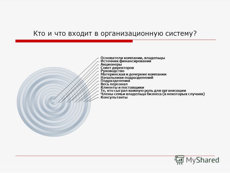 Кто и что входит в организационную систему? Основатели компании, владельцы Источник финансирования Акционеры Совет директоров Руководство