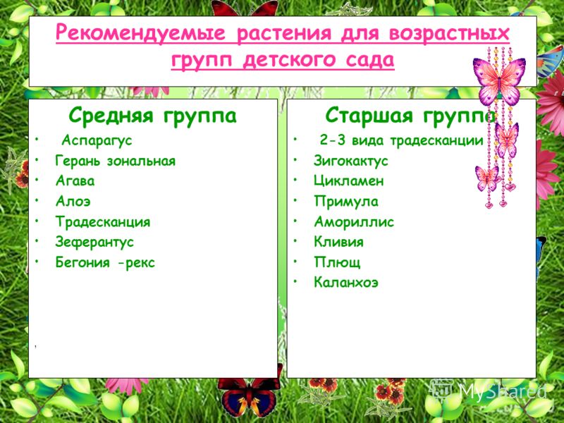 Календари настенные церковных праздников