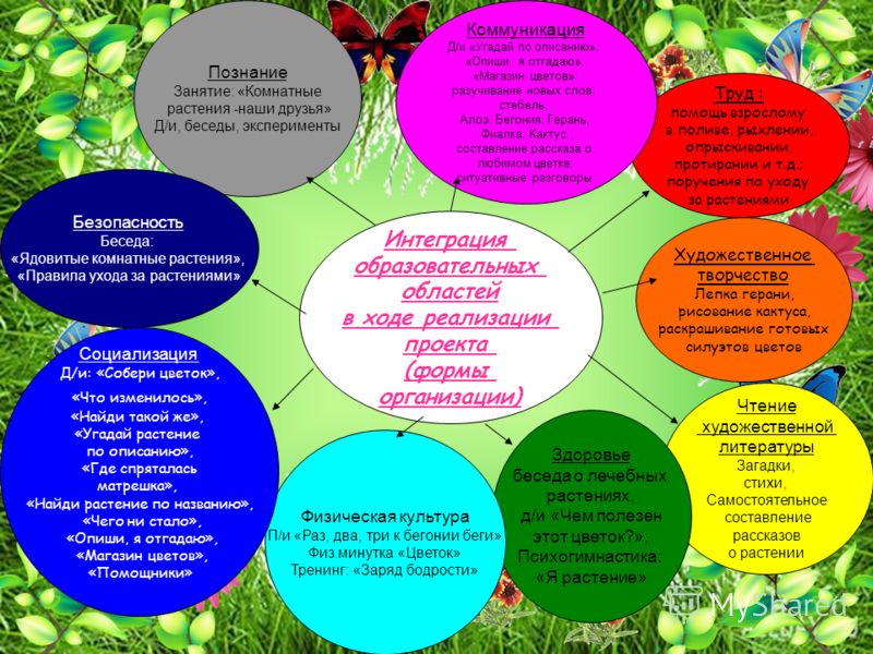 Стих о цветке герань Стих о цветке герань