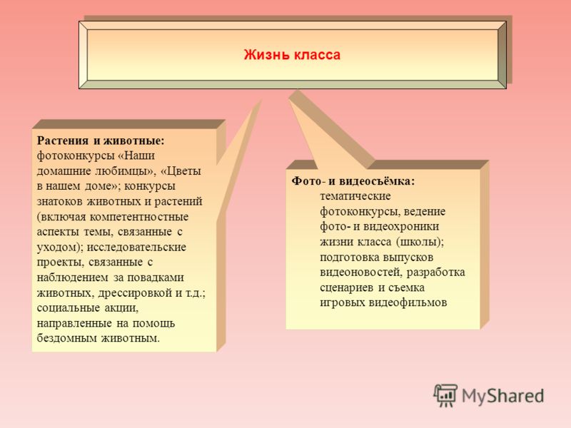 Вывести пятна томата: отстирать помидор, кетчуп, томатный сок одежды Колосок - результаты