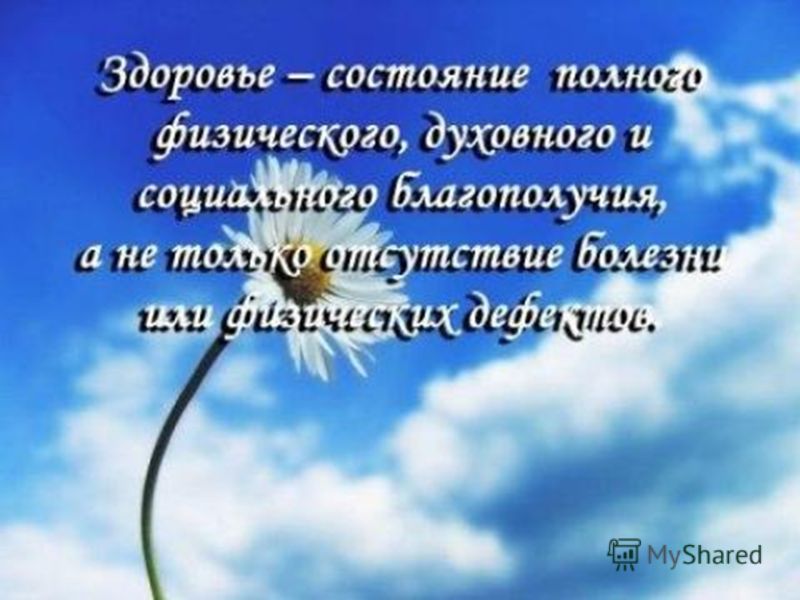 тему двигательная активность на доклад