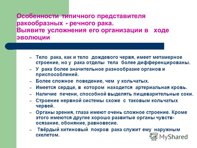 роль паразитов в природе и жизни человека роль паразитов в природе и жизни человека