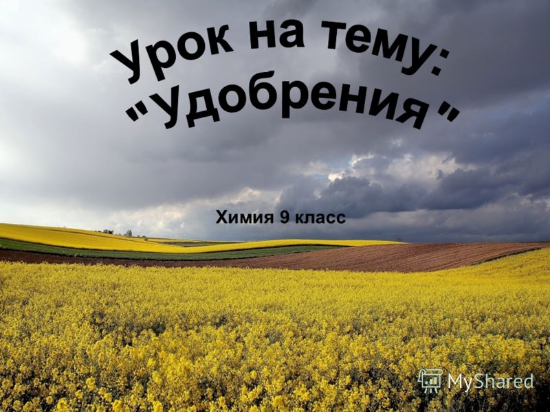 Программа внеурочной деятельности интеллектика