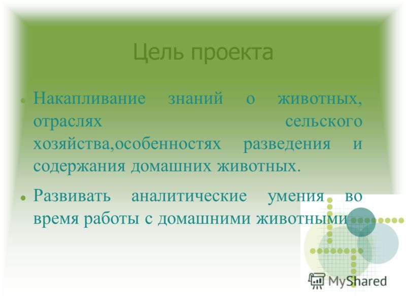 Лазерное лечение зубов в Екатеринбурге Клиника Кашпо из пластиковой бутылки Мастер Сергеич