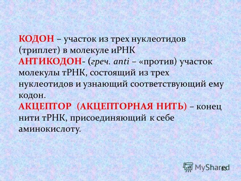 nucleotide triplets nucleotide triplets
