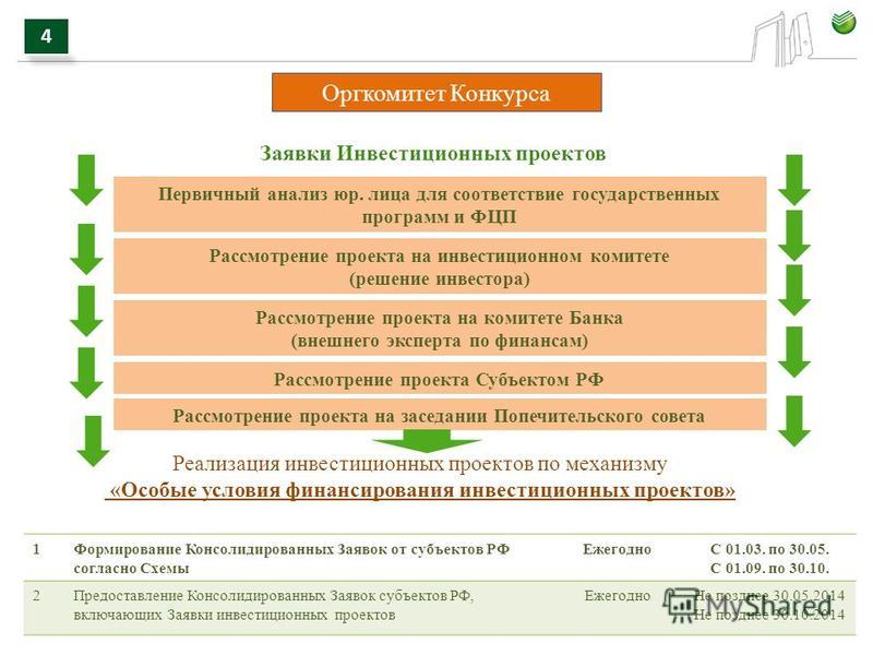 Заполненный паспорт проекта - Basanova.ru