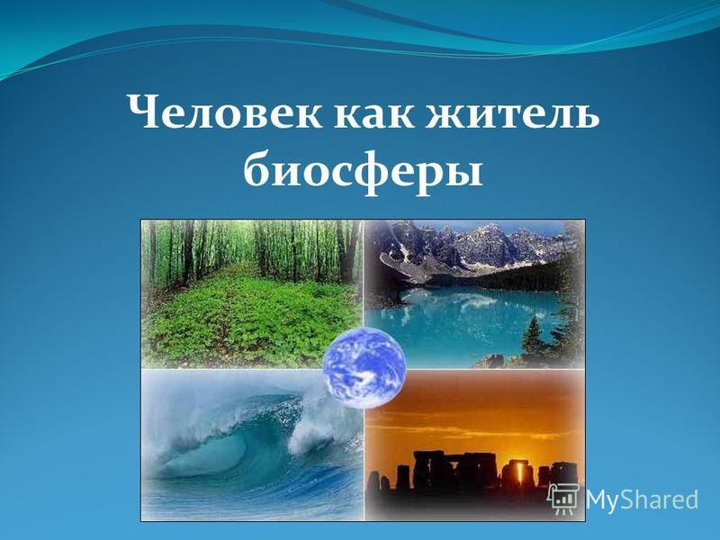Реферат: Человек и биосфера 3 Реферат: Человек и биосфера 3