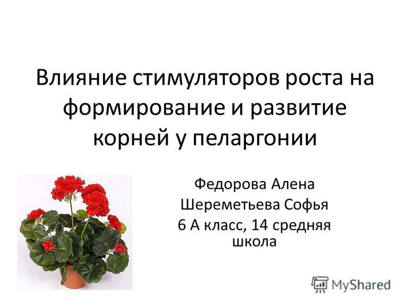 Презентация на тему: "Влияние стимуляторов на приживаемость черенков растений Вы