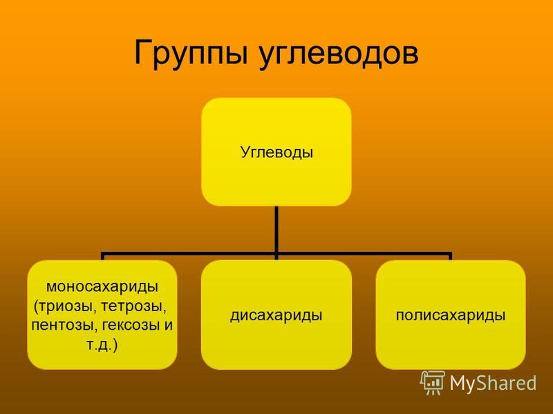 Доклад по теме Биохимия углеводов в организме человека