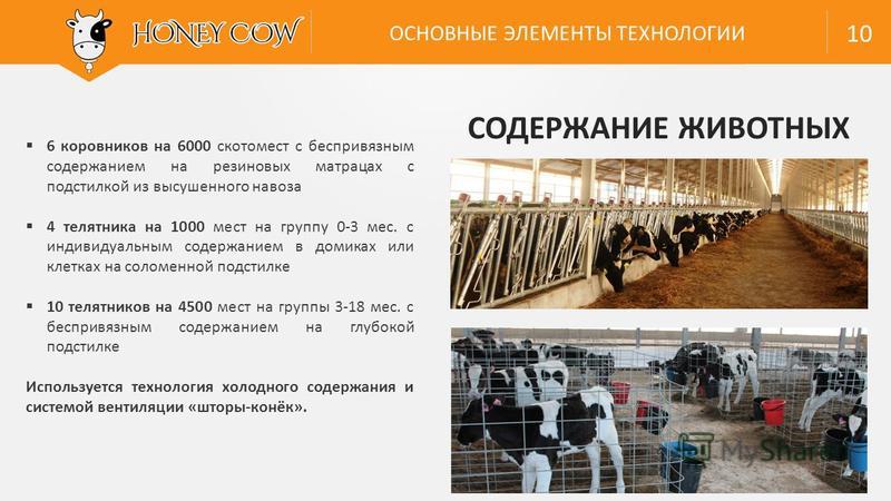 Проект по технологии содержание домашних животных