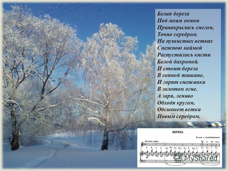 Стих белая берёза под моим окном полностью Стих белая берёза под моим окном полностью