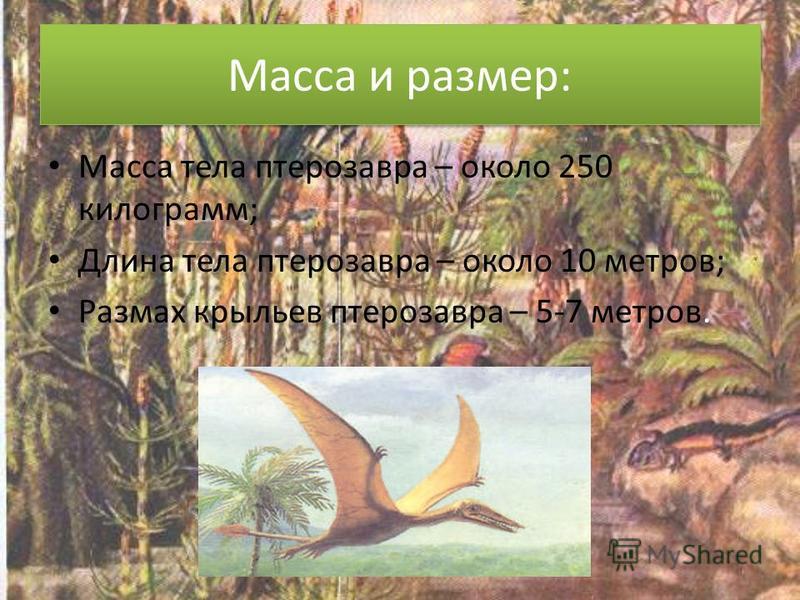 Масса и размер: Масса тела птерозавра – около 250 килограмм; Длина тела птерозавра – около 10 метров; Размах крыльев птерозавра – 5-7 метров.