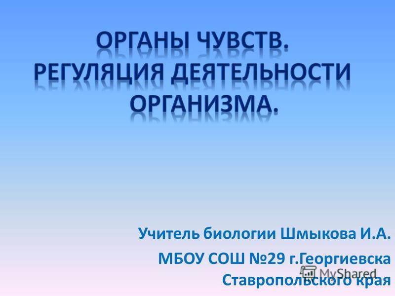 Круглосуточные ветеринарные клиники в самаре телефоны и адреса