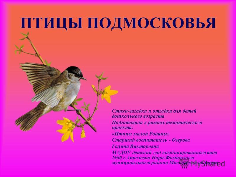 Птицы Подмосковья Фото