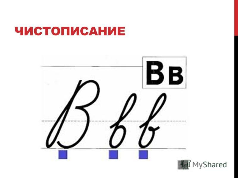 Картинки зима лето осень одним словом Картинки зима лето осень одним словом